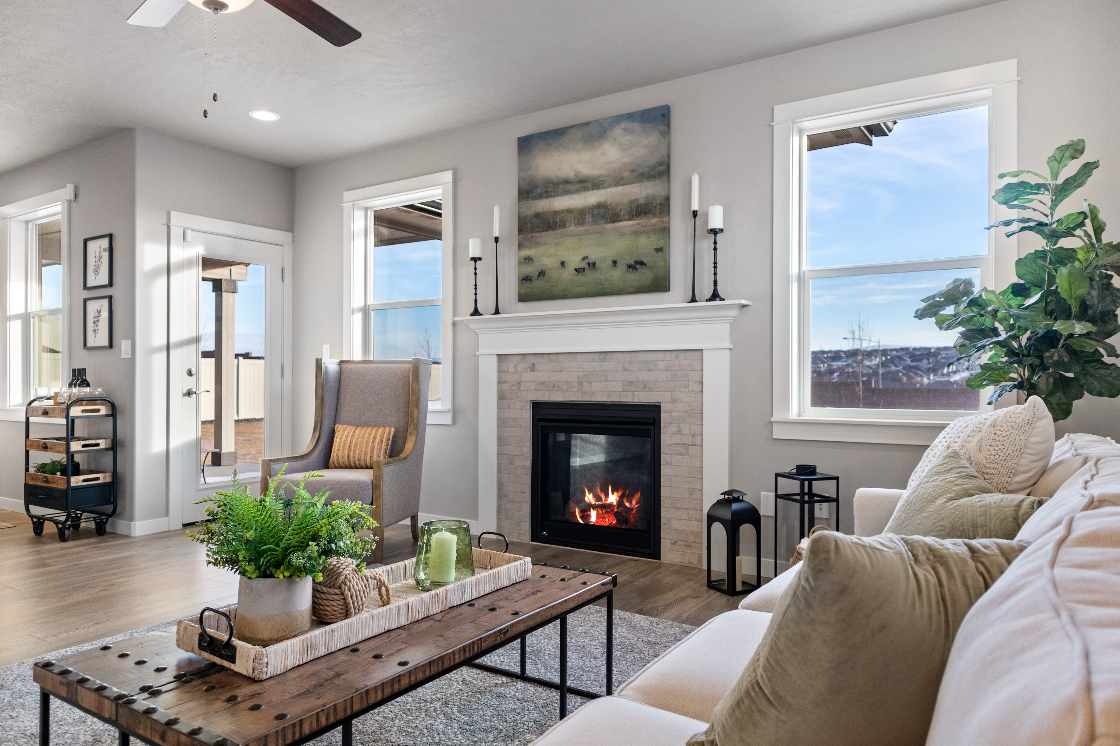 Decorating with Plants: Transform Your Space